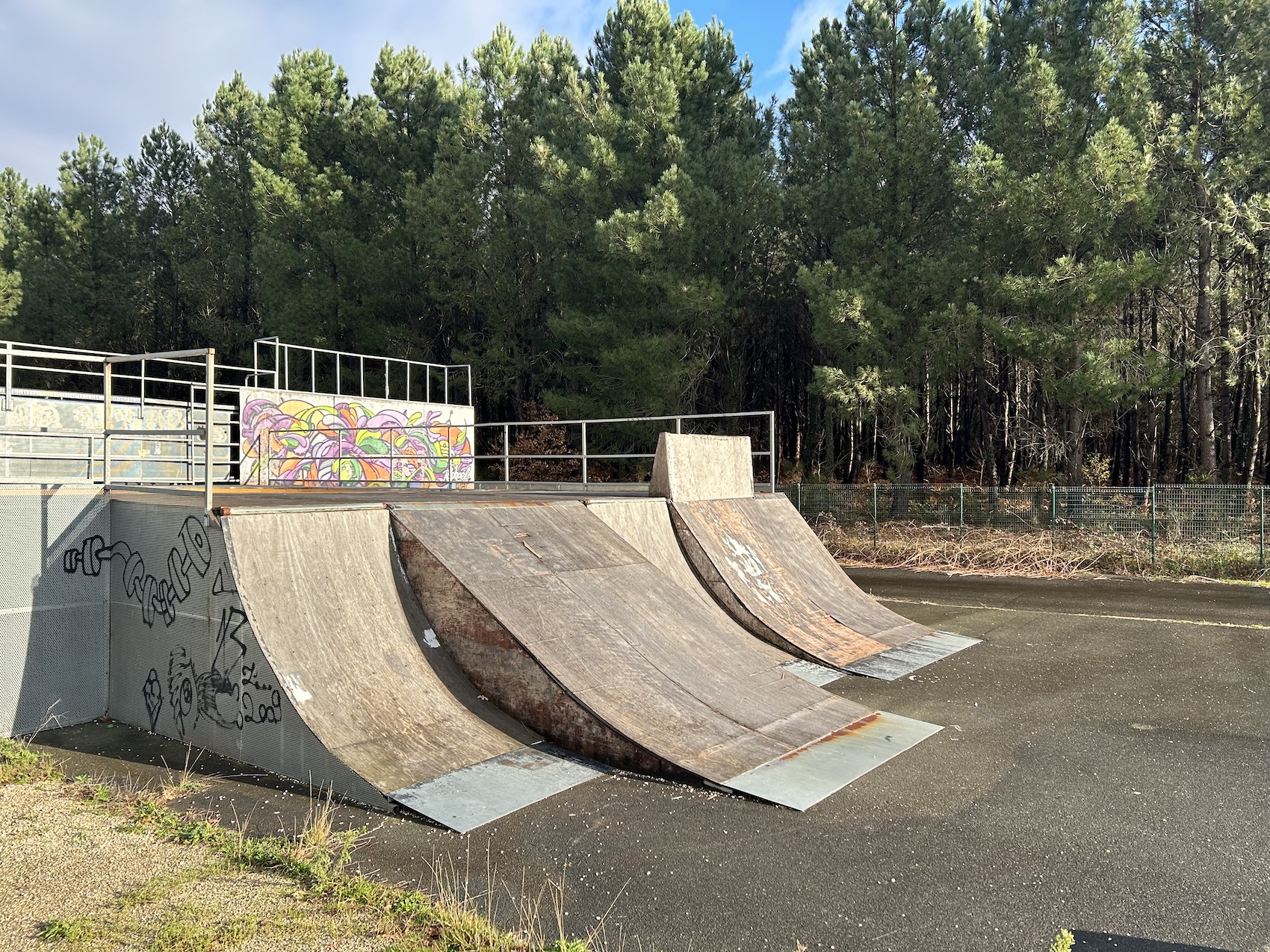 Cestas skatepark